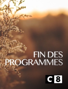 C8 - Fin des programmes