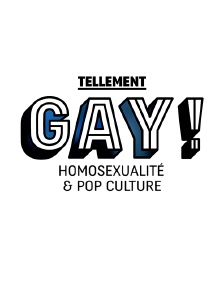 Tellement gay ! Homosexualité et pop culture