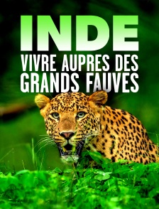 Inde : Vivre auprès des grands fauves