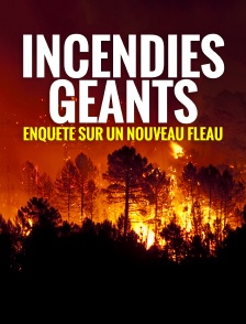 Incendies géants, enquête sur un nouveau fléau