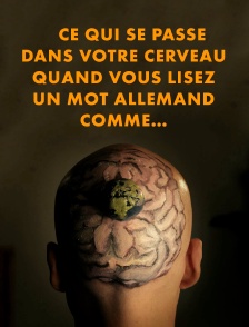 Ce qui se passe dans votre cerveau quand vous lisez un mot allemand comme…