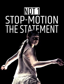 NDT 1 : Savoir faire : Stop-motion / The Statement