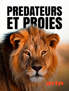 Arte - Prédateurs et proies, un équilibre fragile