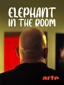 Arte - Elephant in the Room