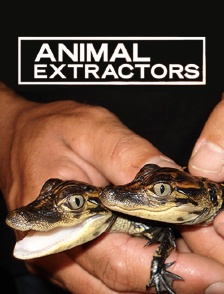 Animal Extractors