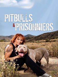 Pitbulls et prisonniers
