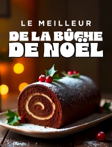 Le meilleur de la bûche de Noël