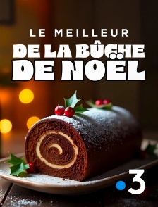 France 3 - Le meilleur de la bûche de Noël
