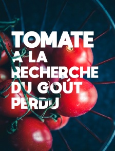 Tomate, à la recherche du goût perdu