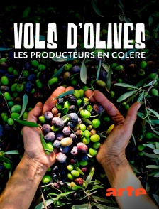 Arte - Vols d'olives : les producteurs en colère