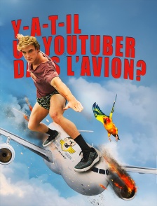 Y a t-il un youtuber dans l'avion ?