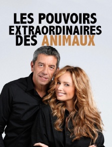 Les pouvoirs extraordinaires des animaux