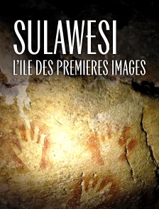 Sulawesi, l'île des premières images
