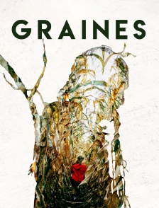 Graines