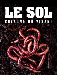 Le sol, royaume du vivant