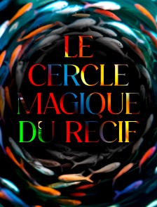 Le cercle magique du récif