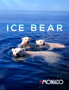 TV Monaco - Ice Bear