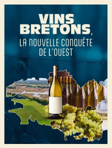 Vins bretons, la nouvelle conquête de l'ouest