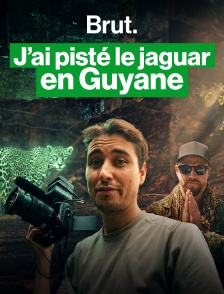 J’ai pisté le jaguar en Guyane… (et rien ne s'est passé comme prévu)