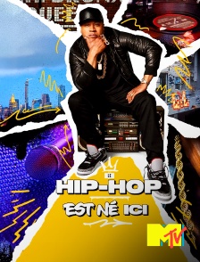 MTV - Le hip-hop est né ici