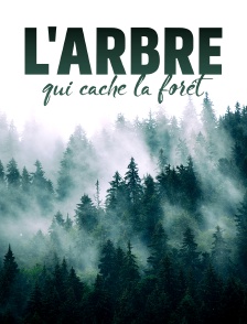 L'arbre qui cache la forêt