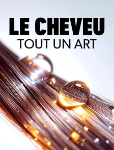 Le cheveu : Tout un art