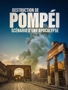 Destruction de Pompéi : Scénario d'une apocalypse