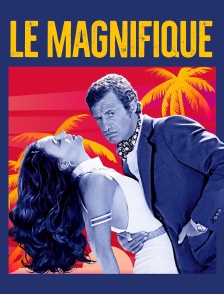 Le magnifique