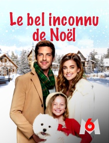 M6 - Le bel inconnu de Noël