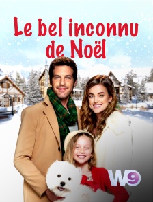 W9 - Le bel inconnu de Noël