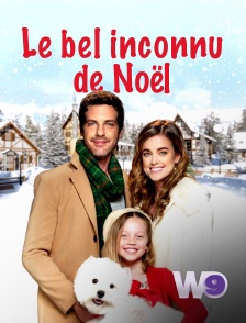 W9 - Le bel inconnu de Noël