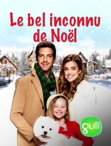 Gulli - Le bel inconnu de Noël