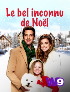 W9 - Le bel inconnu de Noël