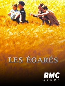 Les égarés