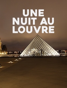 Une nuit au Louvre
