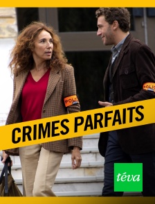 Crimes parfaits