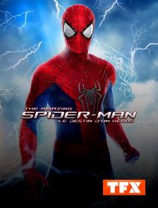 TFX - The Amazing Spider-Man : le destin d'un héros