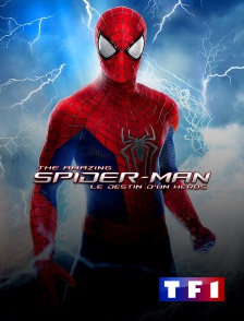 TF1 - The Amazing Spider-Man : le destin d'un héros