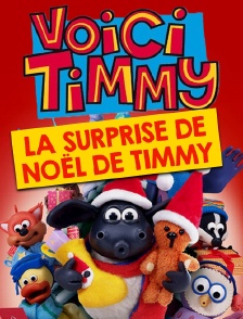 La surprise de Noël de Timmy