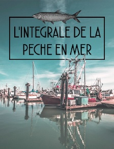 L'intégrale de la pêche en mer