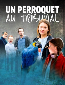 Un perroquet au tribunal
