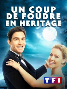TF1 - Un coup de foudre en héritage