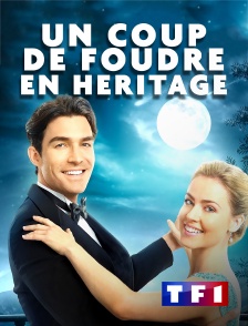 TF1 - Un coup de foudre en héritage