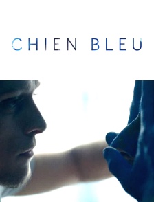 Chien bleu