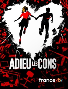 france.tv - Adieu les cons en replay