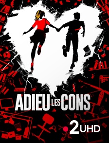 France 2 UHD - Adieu les cons