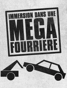 Immersion dans une méga fourrière