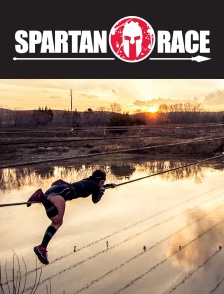 Spartan Race : Sparte 2019