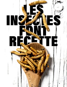 Les insectes font recette