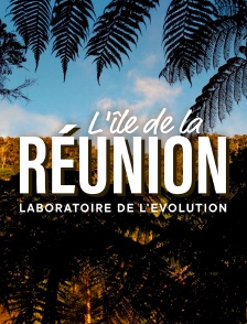 L'île de La Réunion : Laboratoire de l'évolution